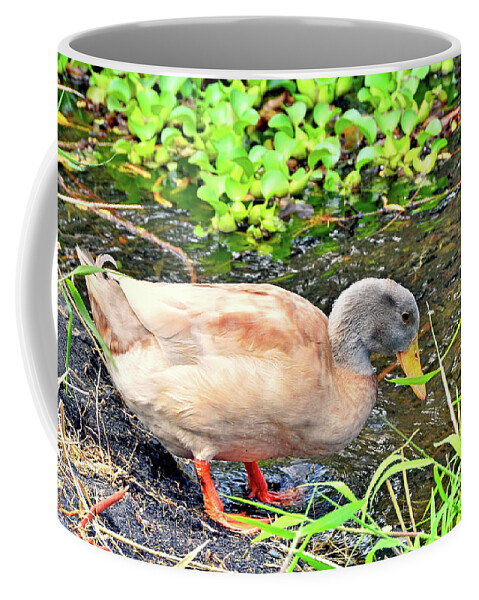 David Lawson Coffee Mug featuring the photograph Swim Time by David Lawson