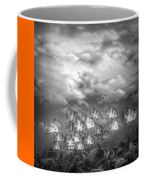 Clouds Coffee Mug featuring the photograph Swimming under the Clouds in Black and White by Debra and Dave Vanderlaan