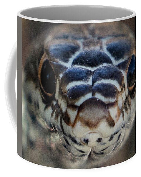  Coffee Mug featuring the photograph _t__1234 by John T Humphrey