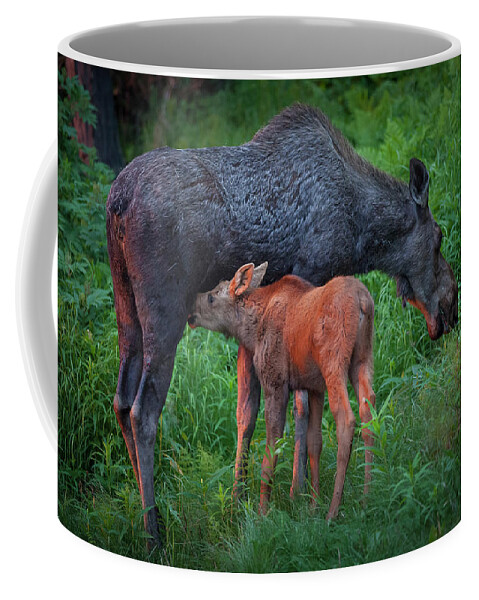 Moose Coffee Mug featuring the photograph Table for Two by Tim Newton