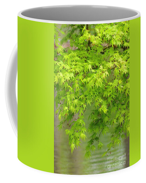 Boughs Coffee Mug featuring the photograph Take a Bough by Kimberly Furey