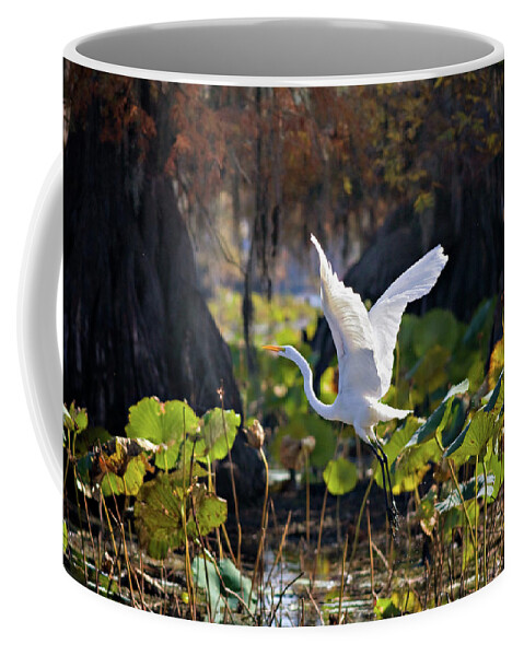 American Lotus Coffee Mug featuring the photograph Take Off by Lana Trussell