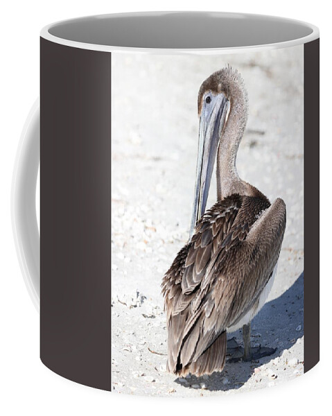 Pelicans Coffee Mug featuring the photograph Close Up of Pelican by Mingming Jiang
