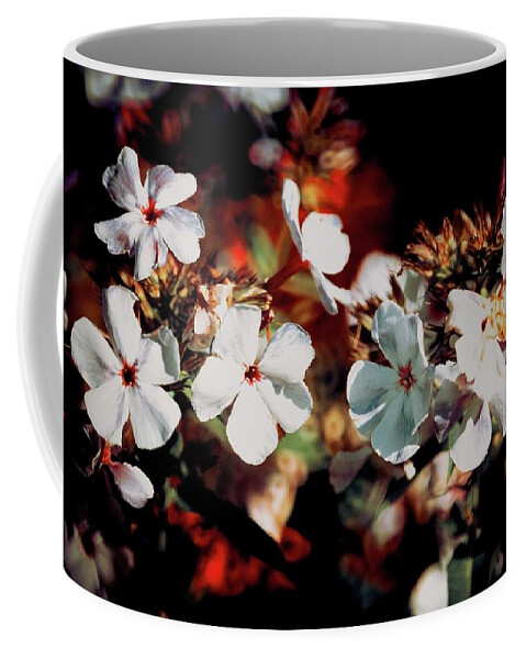 Flowers Coffee Mug featuring the photograph Taking in the Light by RicharD Murphy