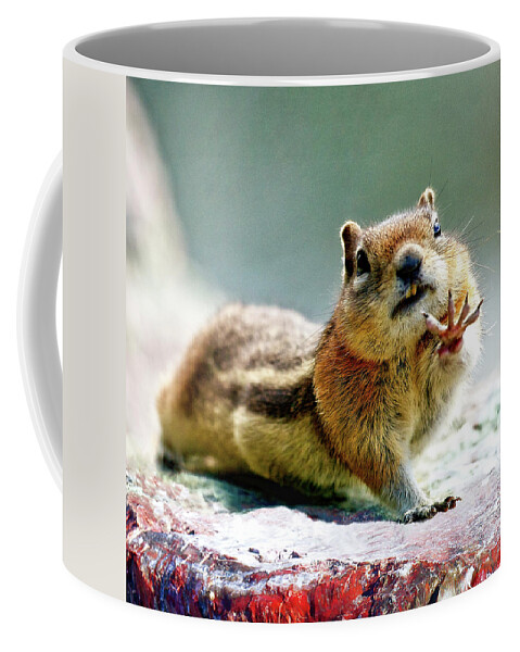 Peanuts For Four Coffee Mug featuring the photograph Talk to the Hand by OLena Art