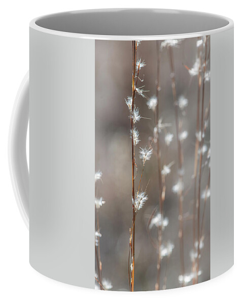 Tall Coffee Mug featuring the photograph Tall Grass With White Seeds by Karen Rispin