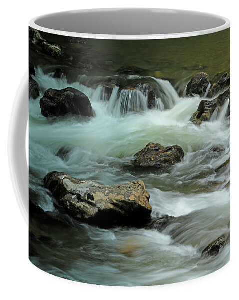 Tallulah River Coffee Mug featuring the photograph Tallulah River Georgia 1 by Richard Krebs
