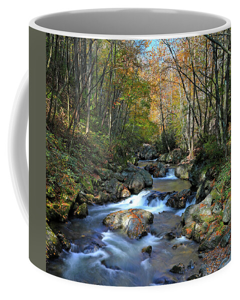 Tallulah River Coffee Mug featuring the photograph Scenic Wild Tallulah River Georgia by Richard Krebs