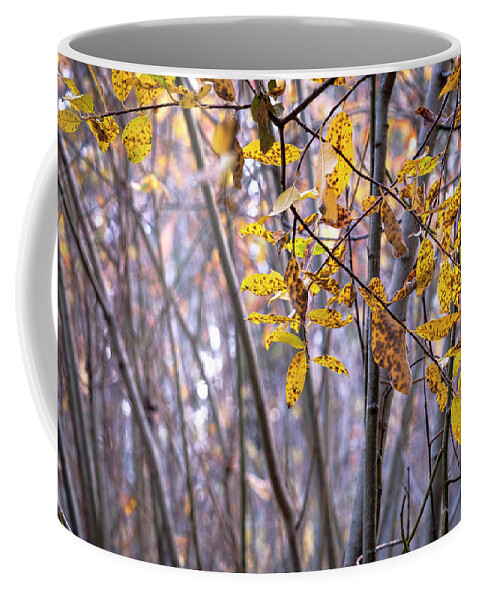 Willow Coffee Mug featuring the photograph Tangled Willow Thicket by Mary Lee Dereske