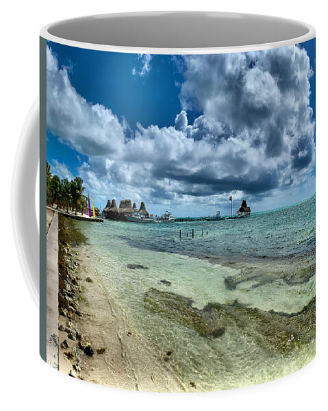 Caribbean Coffee Mug featuring the photograph Tarpon Time by Devin Wilson