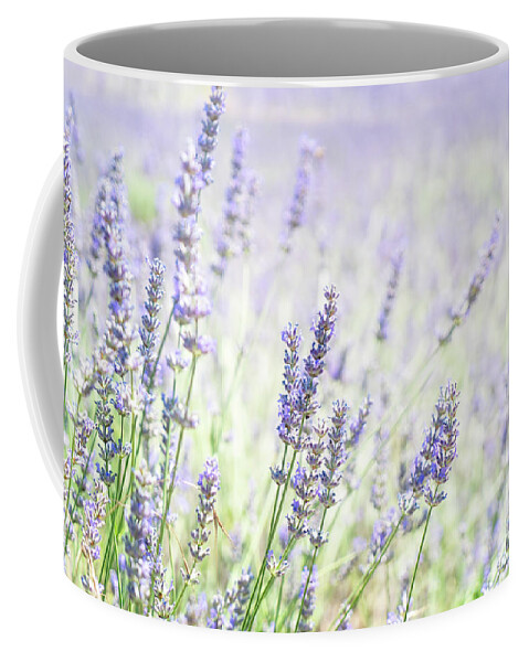 Lavender Coffee Mug featuring the photograph Tenderness of Lavender field by Anastasy Yarmolovich