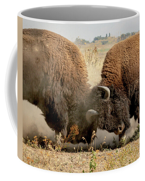 Buffalo Coffee Mug featuring the photograph Test of Strength by Jack Bell