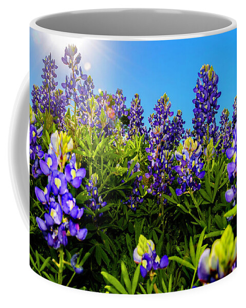 Texas Bluebonnets Coffee Mug featuring the photograph Texas Bluebonnets Backlit_01 by Greg Reed