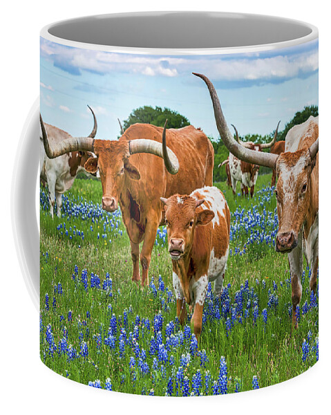  Texas Coffee Mug featuring the photograph Texas Longhorns in Bluebonnets by Bee Creek Photography - Tod and Cynthia