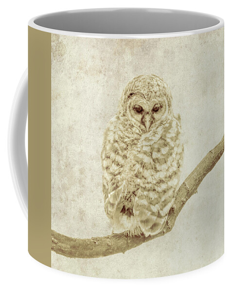 Textured Owl Wildlife Image Coffee Mug featuring the photograph Textured Owl Wildlife Image by Dan Sproul