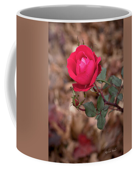 Rose Coffee Mug featuring the photograph Thanksgiving Rose by Rebecca Samler