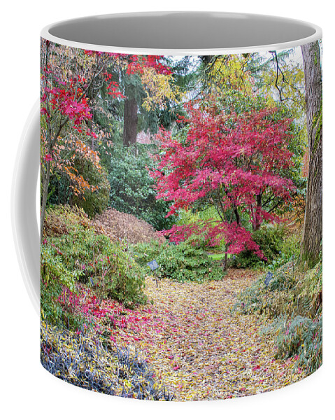Autumn Coffee Mug featuring the photograph The Autumn Path by Joan Septembre