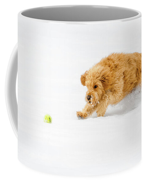 Mini Golden Doodle Coffee Mug featuring the photograph The Ball of the Wild by Dee Potter