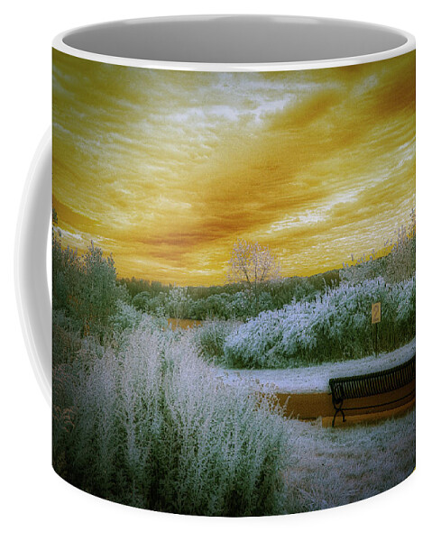 Overpeck Park Coffee Mug featuring the photograph The Bench by Penny Polakoff