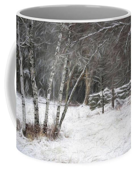 Birch Coffee Mug featuring the photograph The Birches of Orris Road by Wayne King