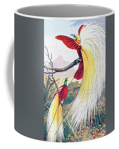 Benjamin Fawcett Coffee Mug featuring the drawing The Bird of Paradise by Benjamin Fawcett