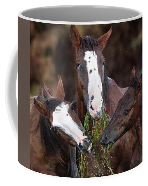 Stallion Coffee Mug featuring the photograph The Blue-Eyed Mare. by Paul Martin