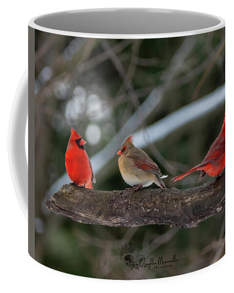 Cardinal Coffee Mug featuring the photograph The College of Cardinals by Regina Muscarella