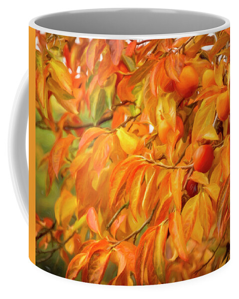 Persimmons Coffee Mug featuring the photograph The Colors of Sweet Persimmons by Lindsay Thomson