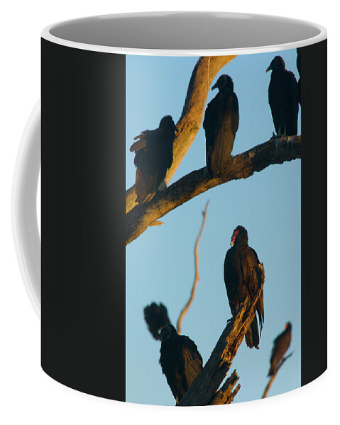 Animal Coffee Mug featuring the photograph The Committee by Melissa Southern
