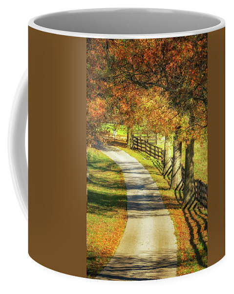 Lane Coffee Mug featuring the photograph The Country Lane by Jolynn Reed