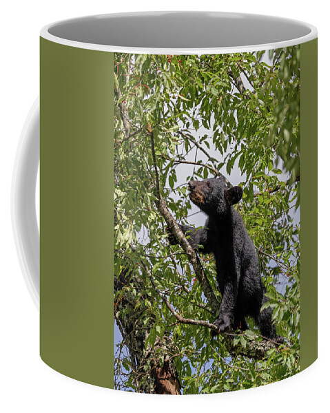 Wildlife Coffee Mug featuring the photograph The Cub Climb by Gina Fitzhugh