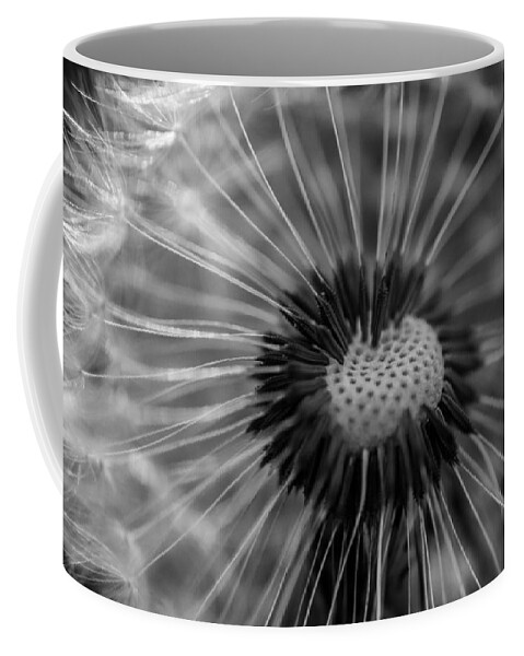 Landscape Coffee Mug featuring the photograph The dandelion by Jamie Tyler