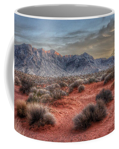  Coffee Mug featuring the photograph The Days Finale by Rodney Lee Williams