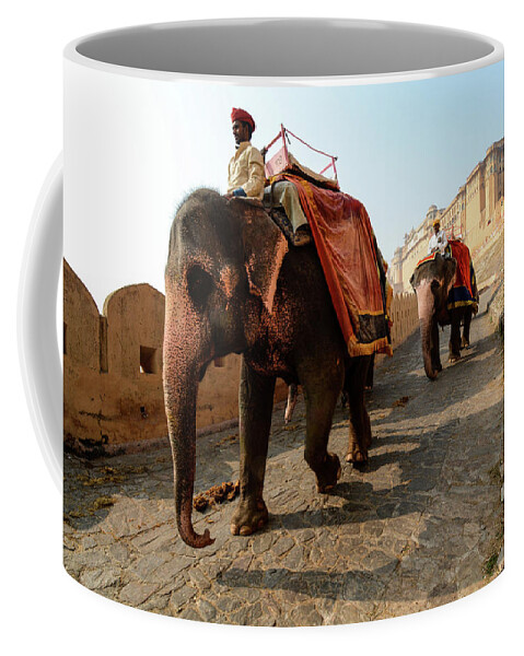India Coffee Mug featuring the photograph Kingdom Come. - Amber Palace, Rajasthan, India by Earth And Spirit