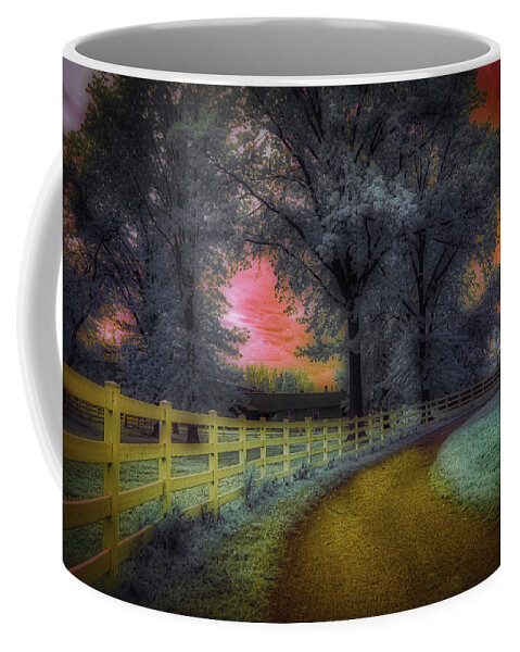 Bergen Equestrian Center Coffee Mug featuring the photograph The Enchanted Forest by Penny Polakoff