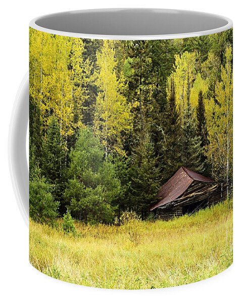 Photography Coffee Mug featuring the photograph The Fallen in the Fall by Larry Ricker