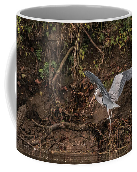 Heron Coffee Mug featuring the photograph The Fisherman by DArcy Evans