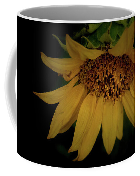 Flower Coffee Mug featuring the photograph The Flashy Wild Sunflower by Laura Putman