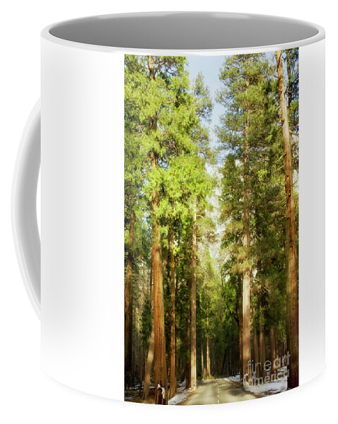 Pines Coffee Mug featuring the photograph The Forest by Claudia Ellis