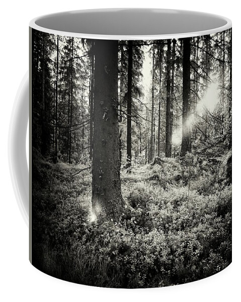 Infrapuna Coffee Mug featuring the photograph The Forest in evening light BW IR by Jouko Lehto