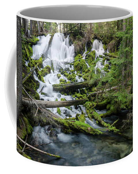 Oregon Coffee Mug featuring the photograph The Forests of Oregon by Margaret Pitcher