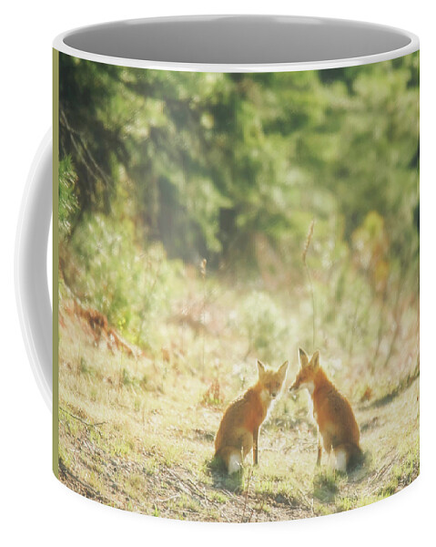 Fox Coffee Mug featuring the photograph The Fox in the Field by Carrie Ann Grippo-Pike