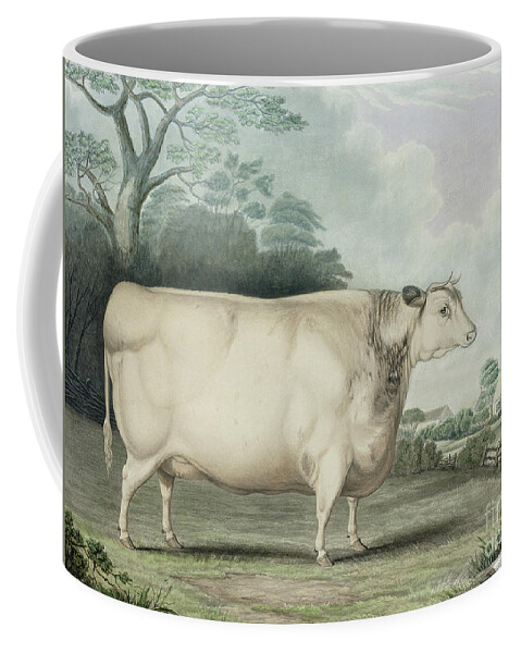 Agriculture Coffee Mug featuring the painting The Habertoft Short Horned Prize Cow by B Hubbard