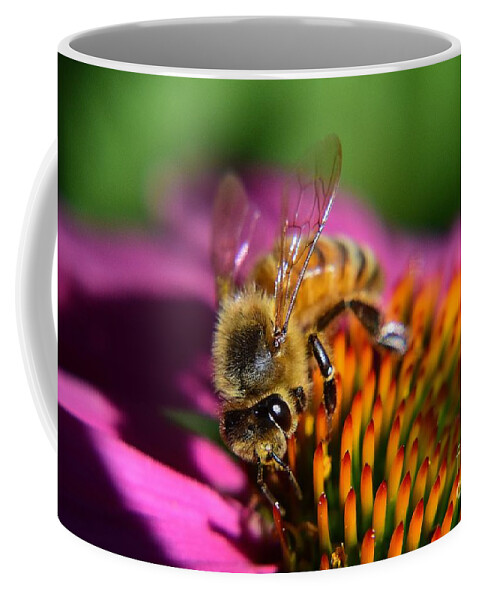 Honey Bee Coffee Mug featuring the photograph The Honey Bee and The Cone by Jimmy Chuck Smith