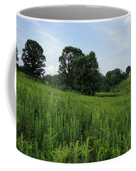 Richard Reeve Coffee Mug featuring the photograph The House in the Meadow by Richard Reeve