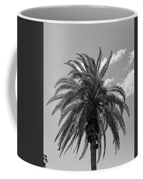 Palm Coffee Mug featuring the photograph The Joy of a Summer Sky by Calvin Boyer