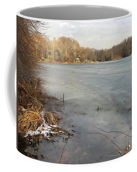  Coffee Mug featuring the photograph The Lake in December by Judy Frisk