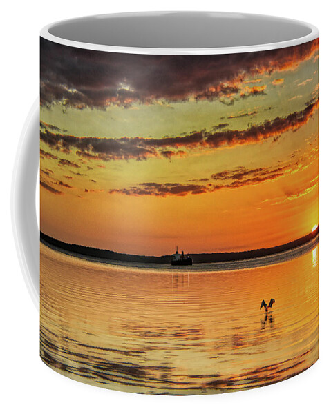 Black Coffee Mug featuring the photograph The Last Black Pelican by Micah Offman