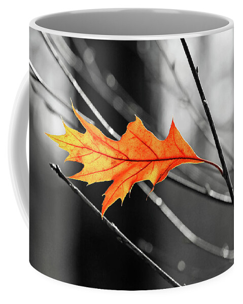 The Last Leaf Coffee Mug featuring the photograph The last leaf by Carolyn Derstine