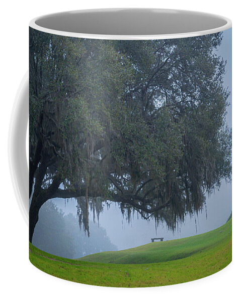 Chapel Coffee Mug featuring the photograph The Lone Bench by Cindy Robinson